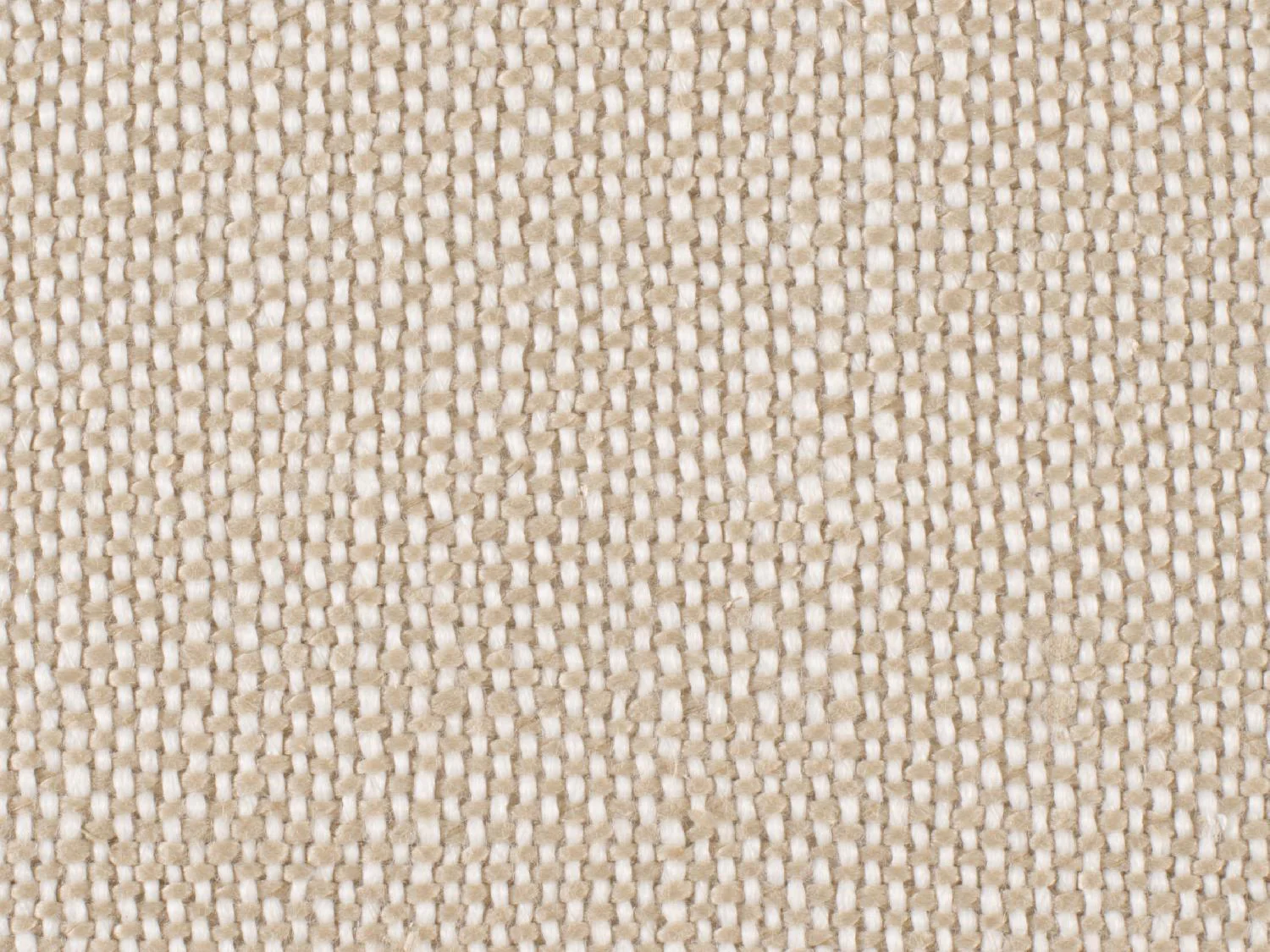 Archivist Upholstered Arm Chair - Set of 2 - Image 3