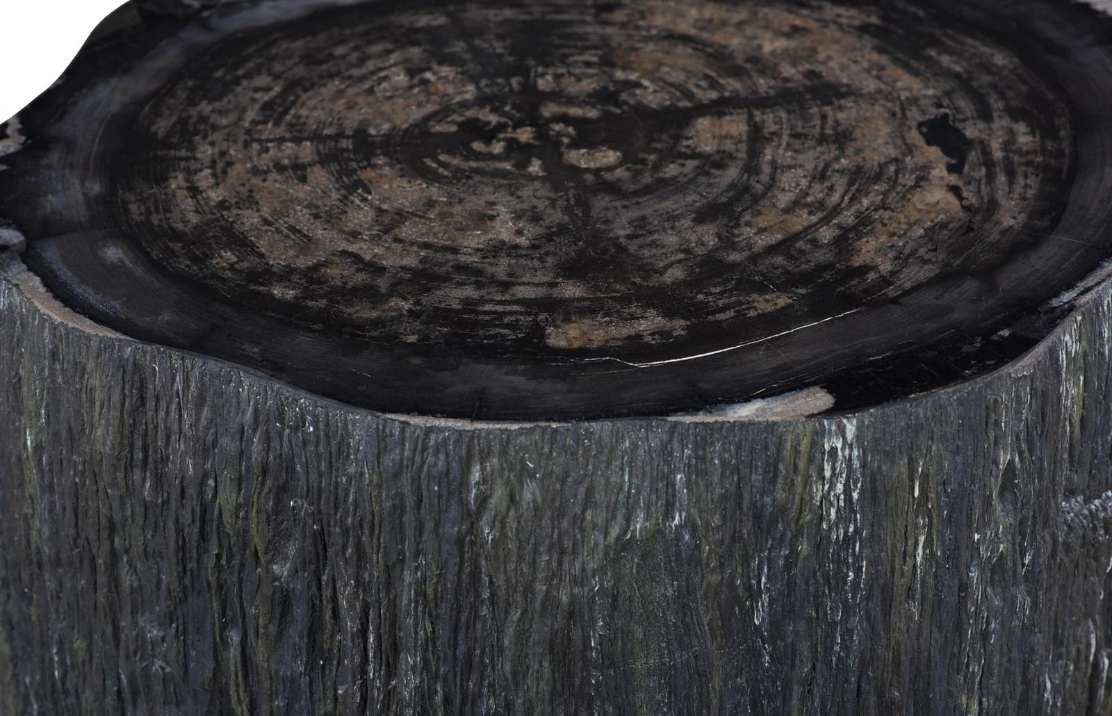 Chaka Petrified Coffee Table - Image 10