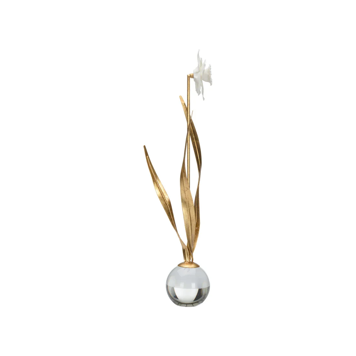 Daffodil - Image 4