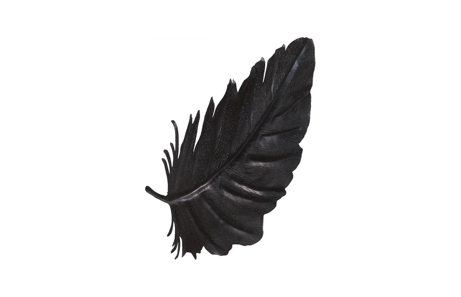 Feather Wall Decor, Black, Metal - Image 2