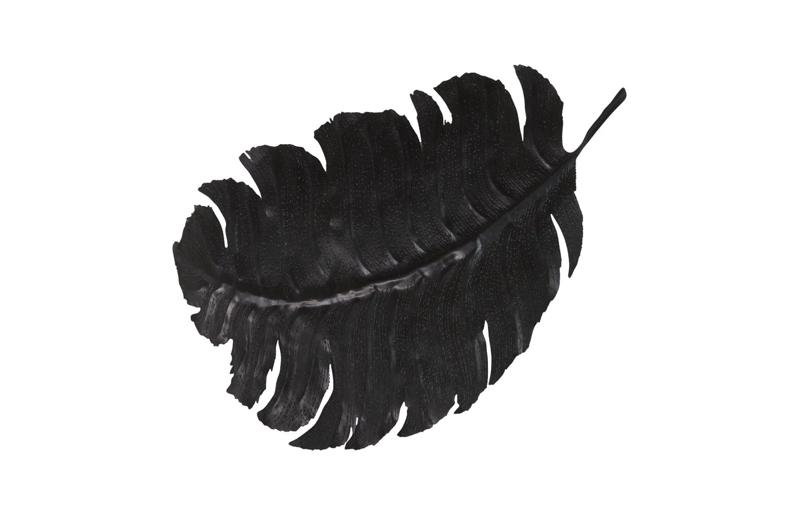 Feather Wall Decor, Black, Metal - Image 9
