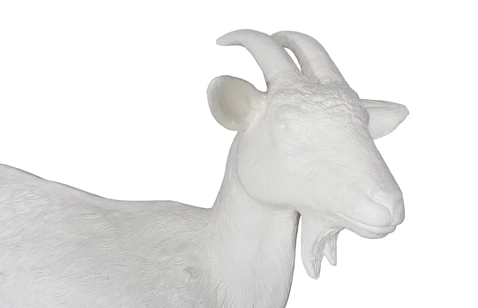 Goat - Image 3