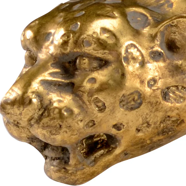 Leopard - Image 2