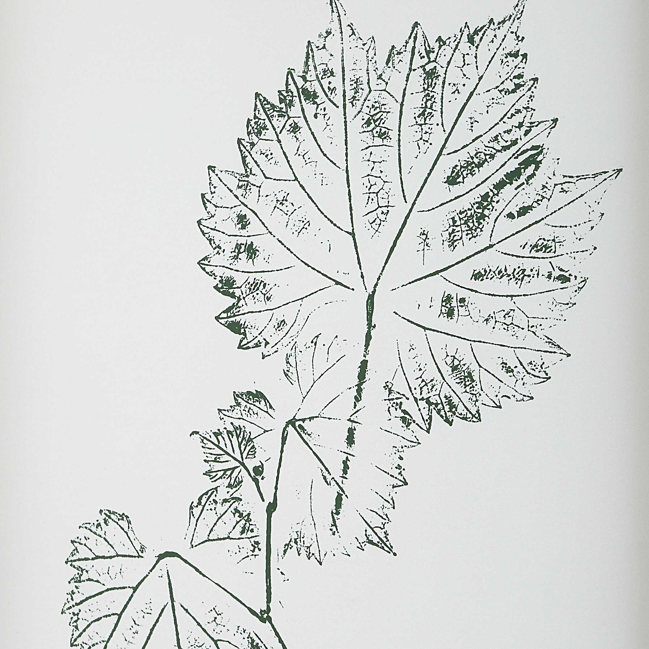 Nature's Script Framed Botanical Prints - Set of 9 - Image 5