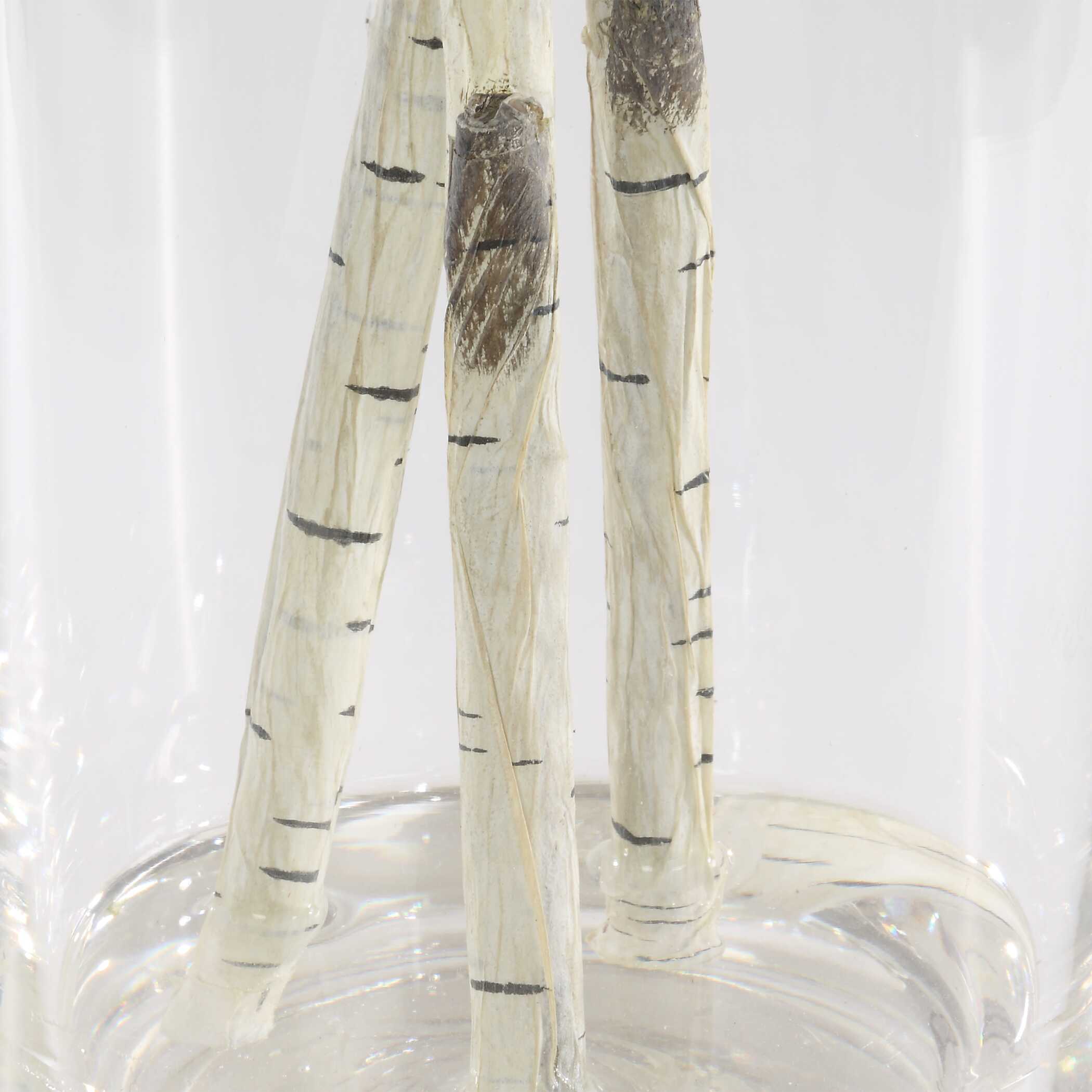 Nigra Birch Vase Centerpiece - Image 5