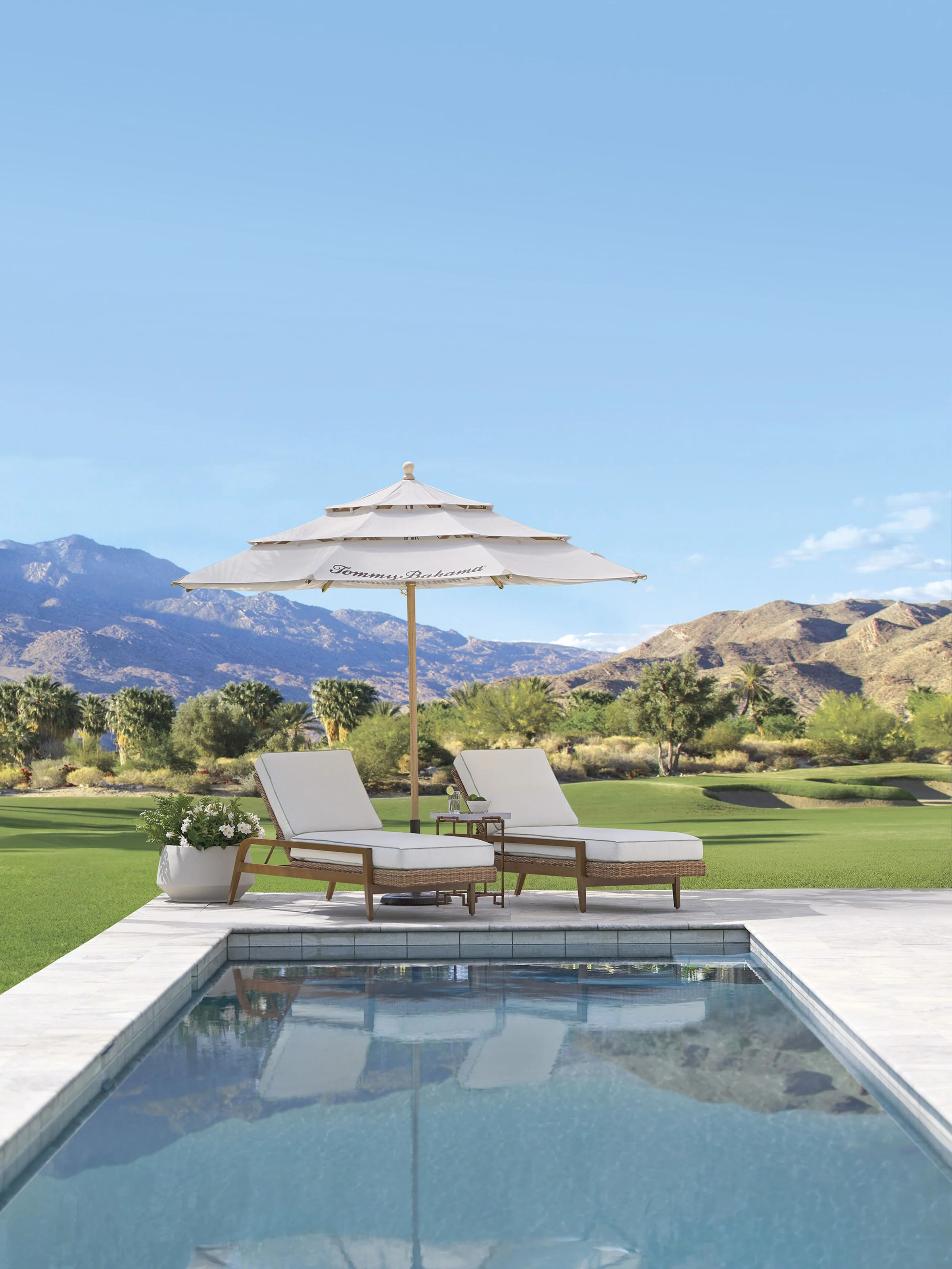 Palm Desert Poolside Chaise - Image 3