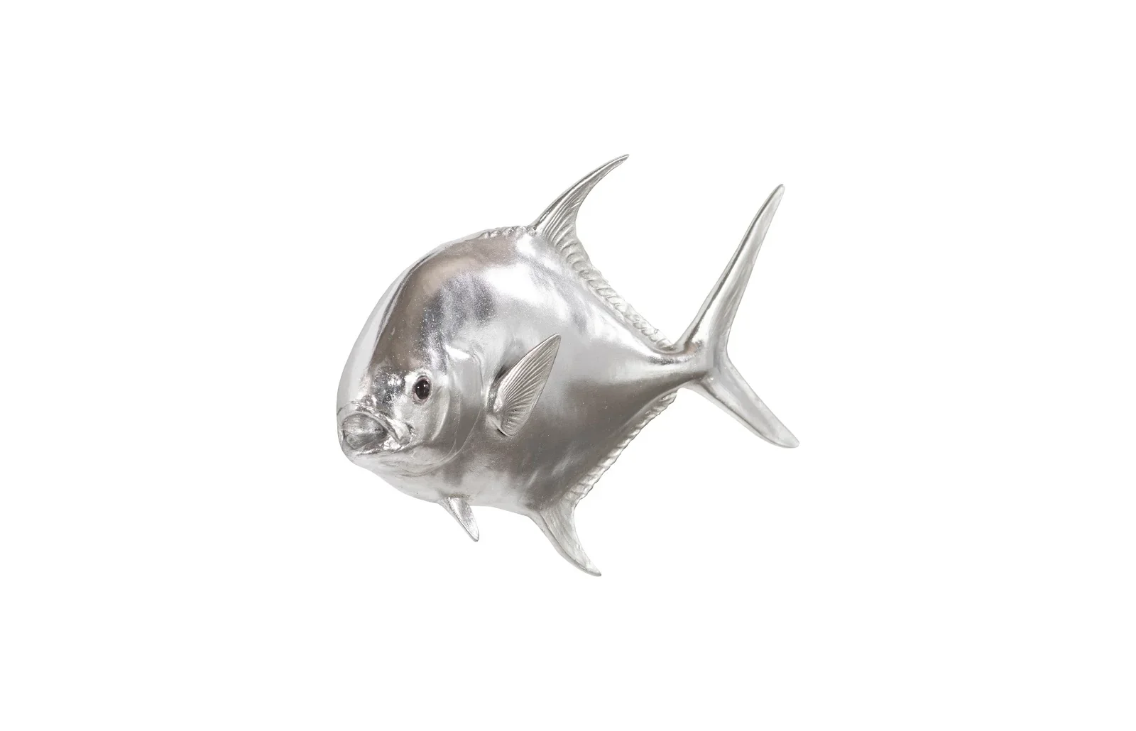 Permit Fish - Image 2