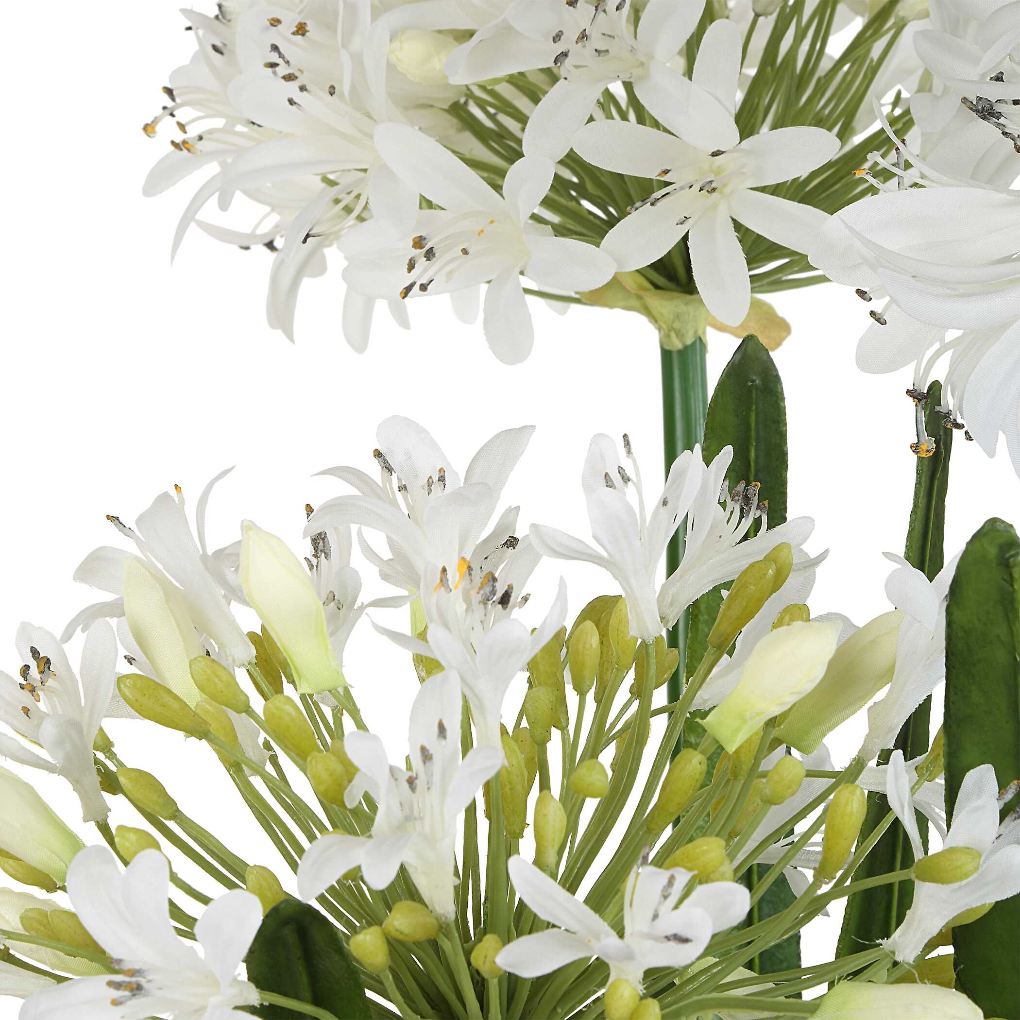 Purity Agapanthus Centerpiece - Image 5