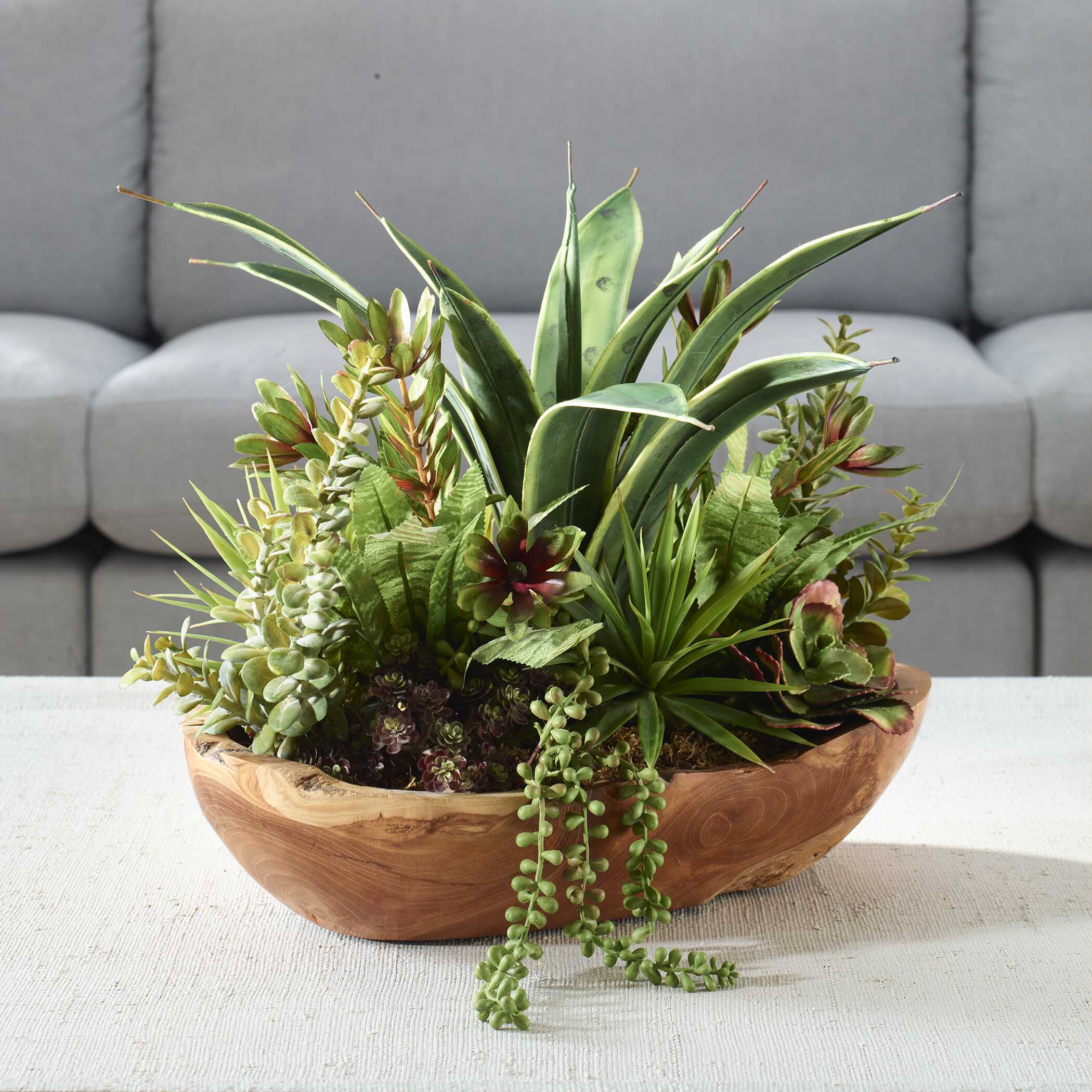 Salar Succulents In Teak Bowl - Image 2