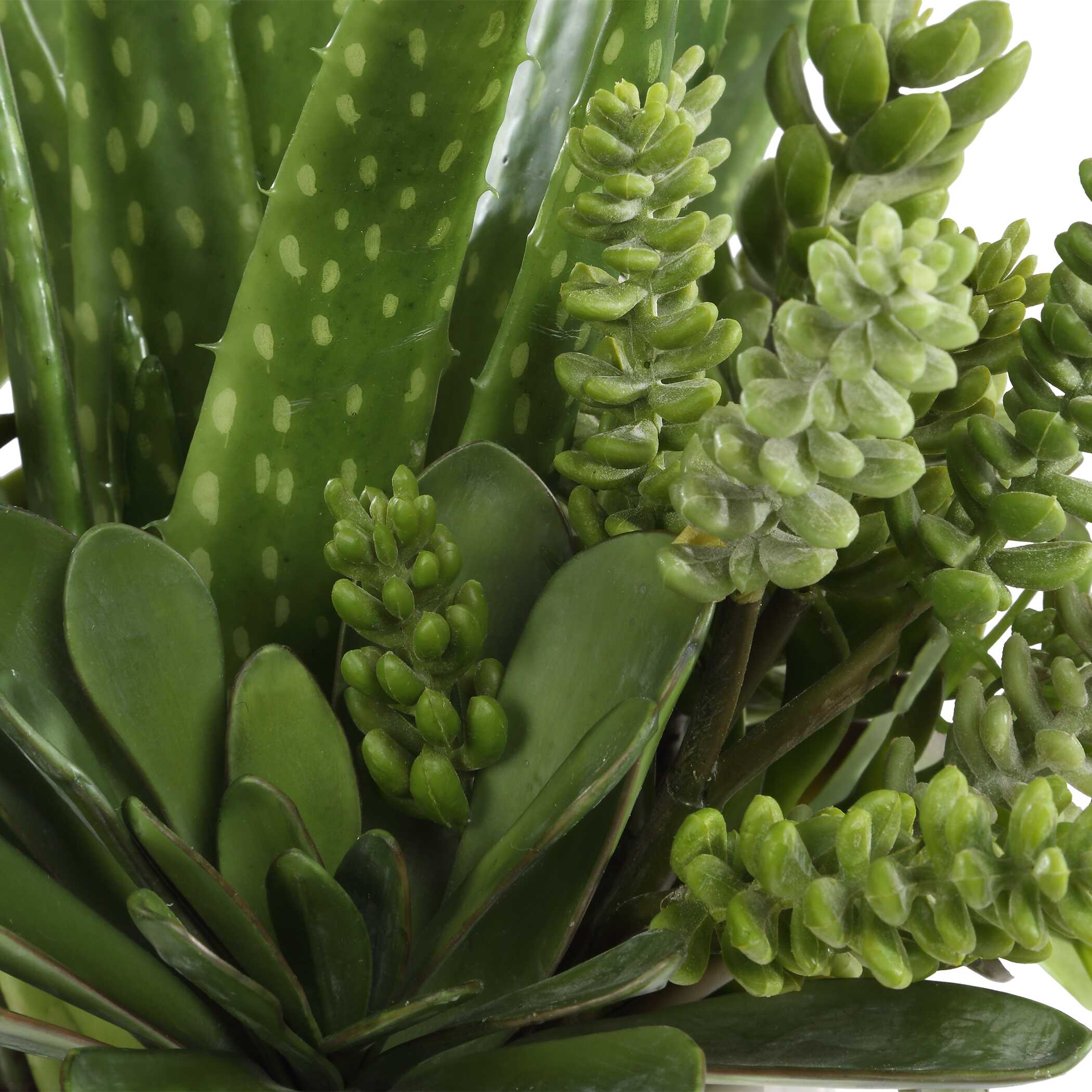 Sundown Succulent Accent Planter - Image 4