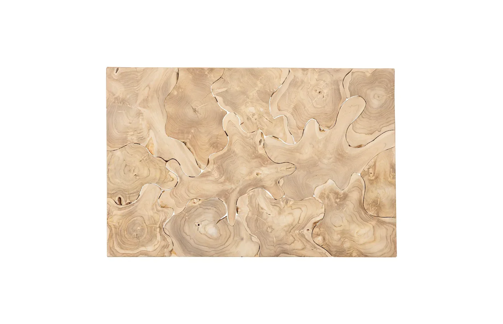 Teak Slice Coffee Table - Image 6